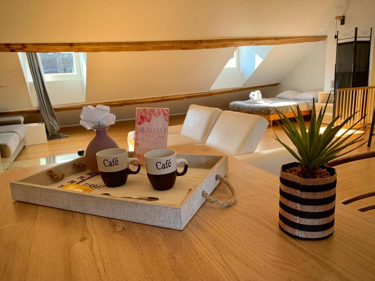 Les Fabuleux Appartements Du Coeur De Ville - Place Victor Hugo 브장송 외부 사진