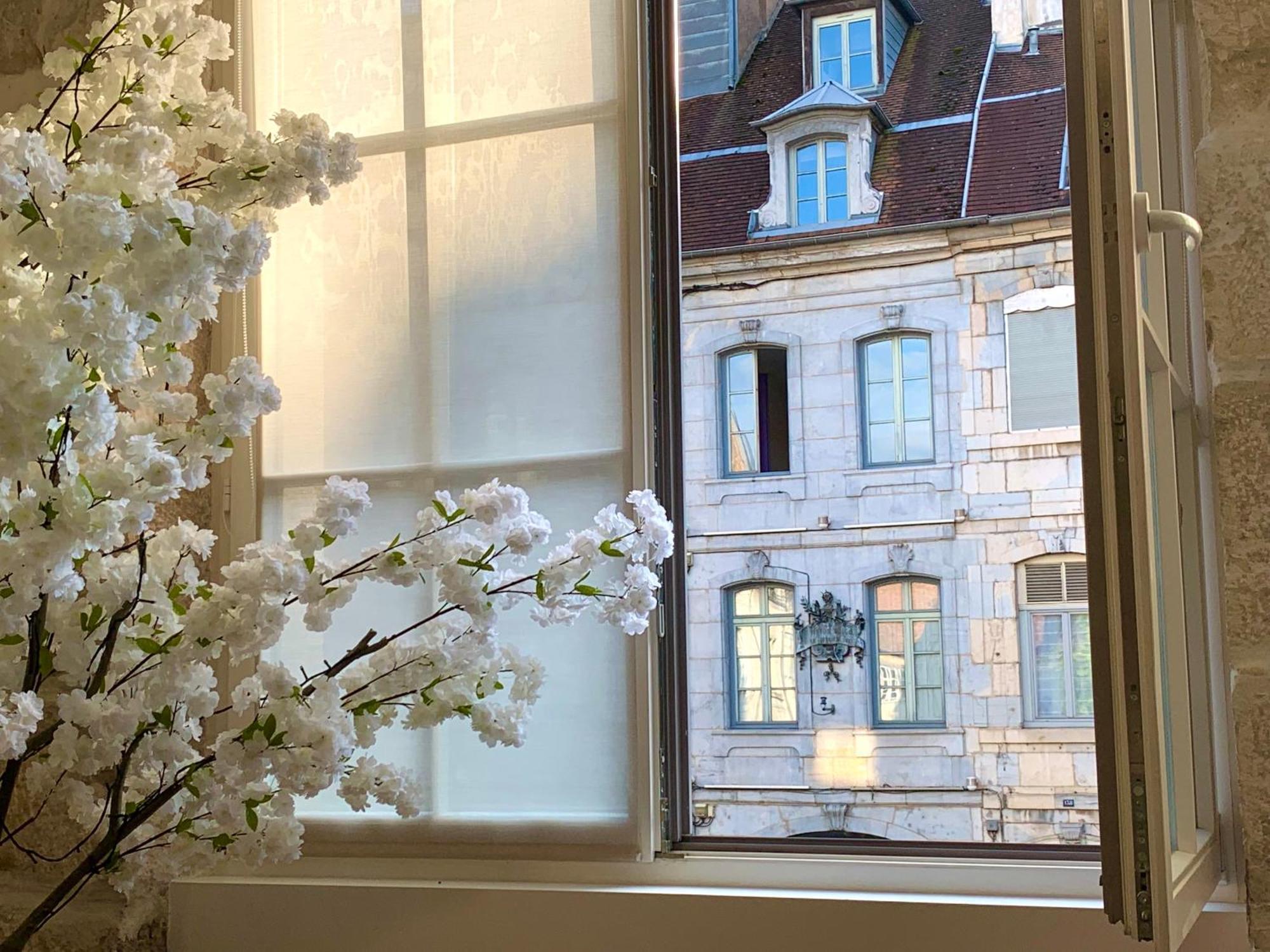 Les Fabuleux Appartements Du Coeur De Ville - Place Victor Hugo 브장송 외부 사진